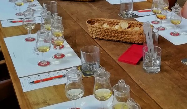 Whisky tasting